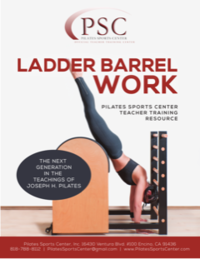 LEAP SPORTS Pilates Ladder Barrel – LeapSportsVancouver